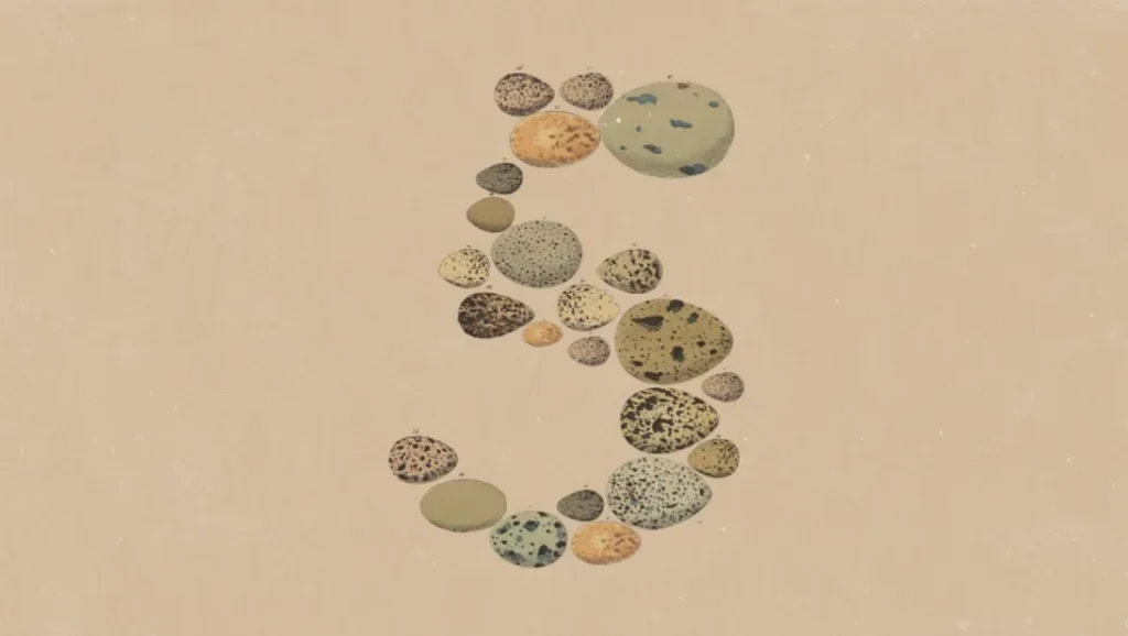 Anthropic lança Claude Opus 5 com desempenho próximo ao Fable 5 e custo 50% menor Imagem que mostra pedras formando o numero 5 , que representa o OPUS 5